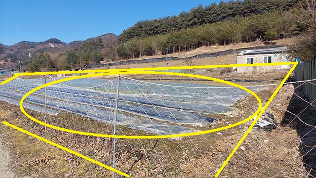 토지/임야 - 전