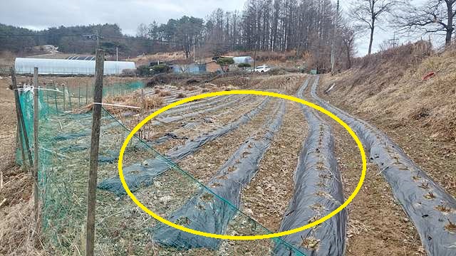 토지/임야 - 전
