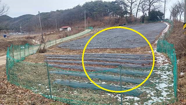토지/임야 - 전