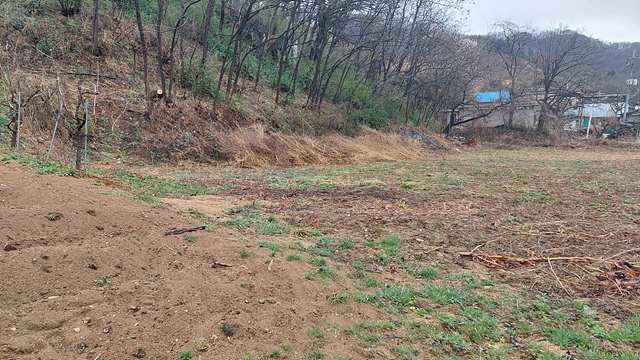 토지/임야 - 전
