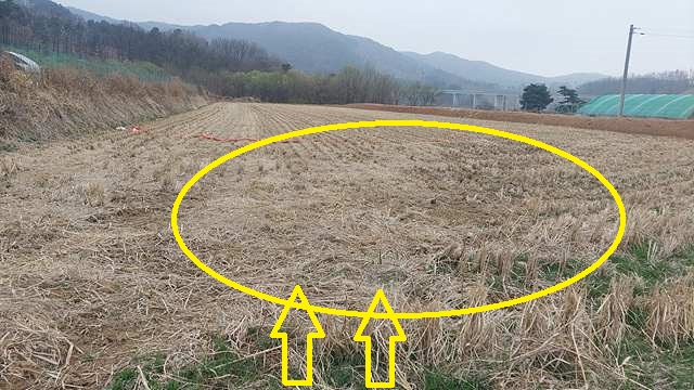 토지/임야 - 답